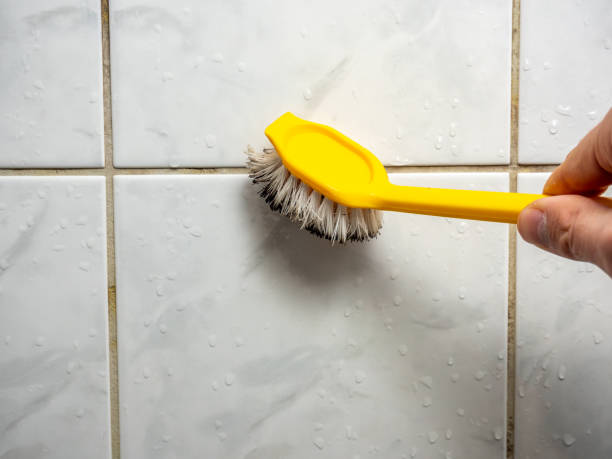 Best Black Mold Removal  in Lake Fenton, MI