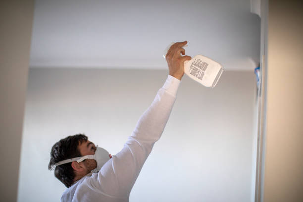 Best Professional Mold Removal  in Lake Fenton, MI