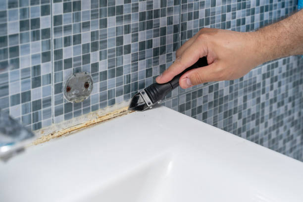 Lake Fenton, MI Mold Removal Company